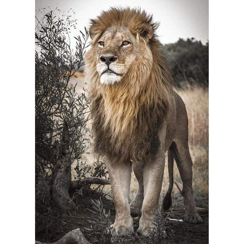 Lion 5D Diy Diamond Painting Kits Cross Stitch Mosaic