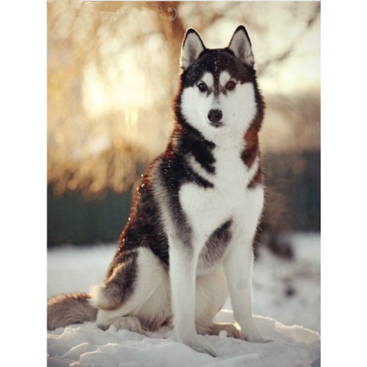 New Hot Sale Stitch 5d Diy Diamond Painting Snow Dog VM8620