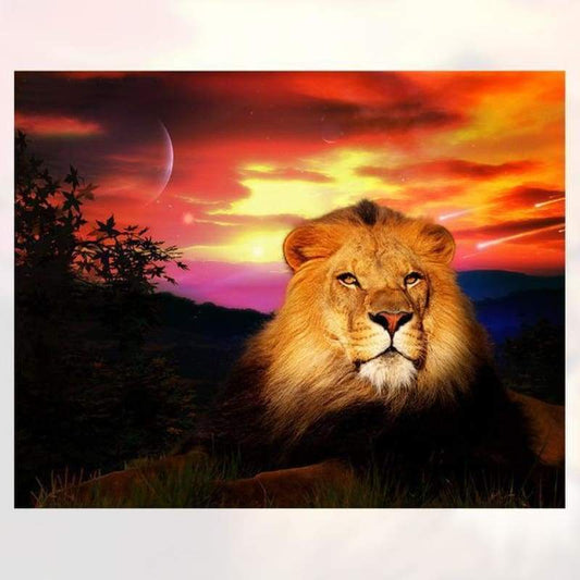 Special Animal Lion Portrait 5d Diy Diamond Painting Kits VM7800