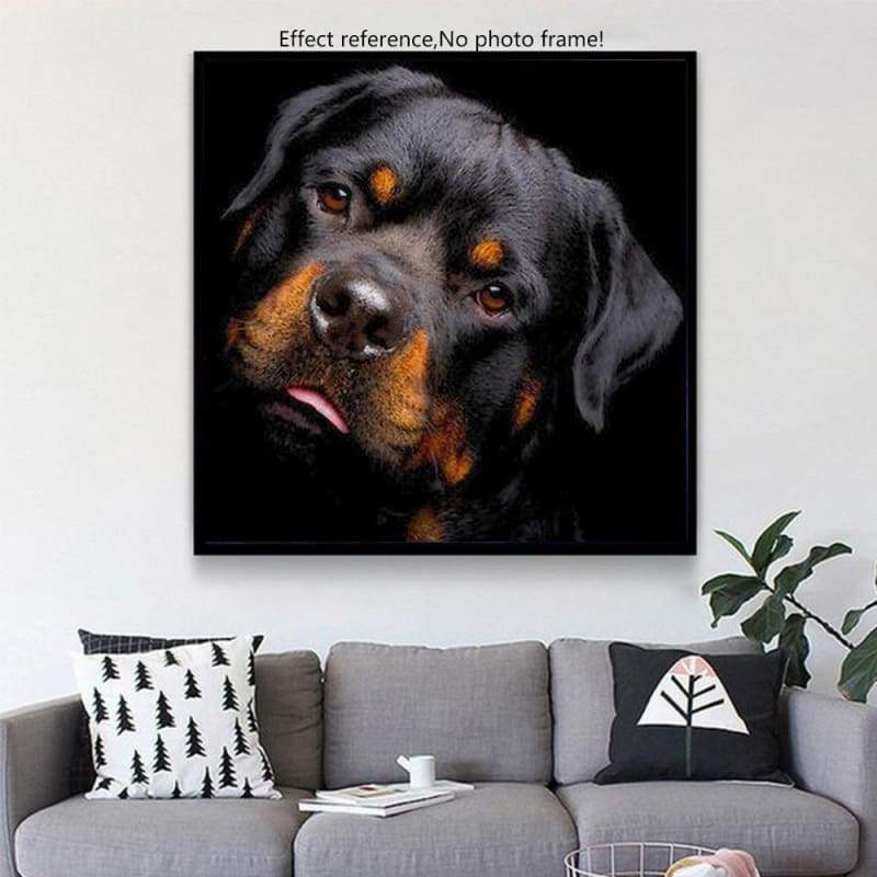 Special Dog Rottweiler Pictures 5d Diy Diamond Painting Kits VM9853