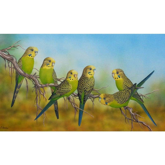 Budgies - Full Drill Diamond Painting Kit - NEEDLEWORK KITS