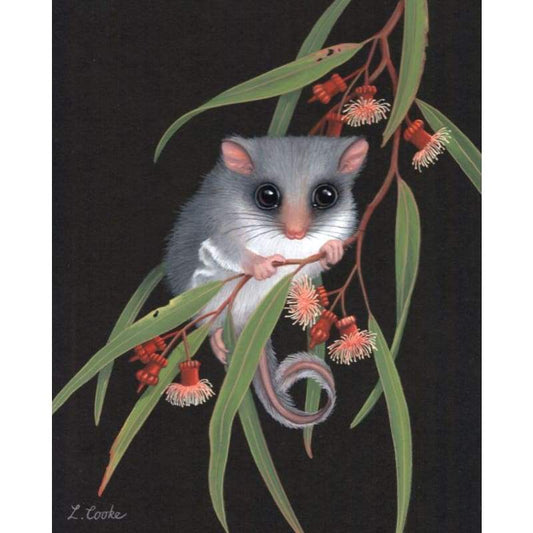 Feathertail Glider & Coral Gum - Full Drill Diamond Painting Kit - NEEDLEWORK KITS