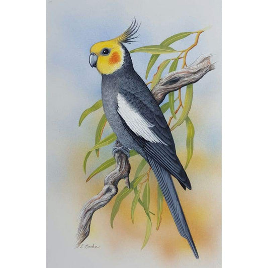 Cockatiel - Full Drill Diamond Painting Kit - NEEDLEWORK KITS