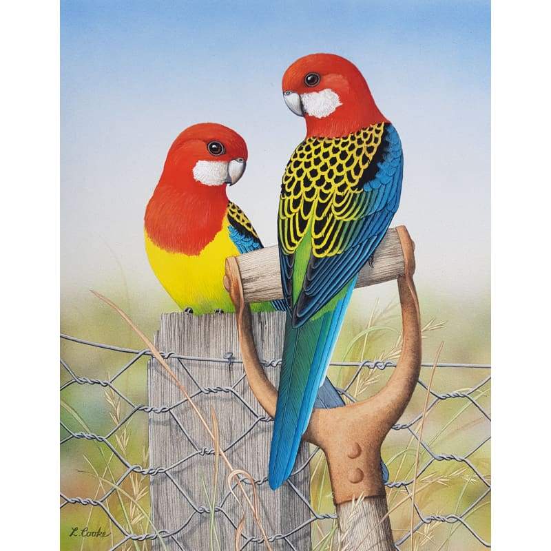 Eastern Rosellas - Full Drill Diamond Painting Kit - NEEDLEWORK KITS