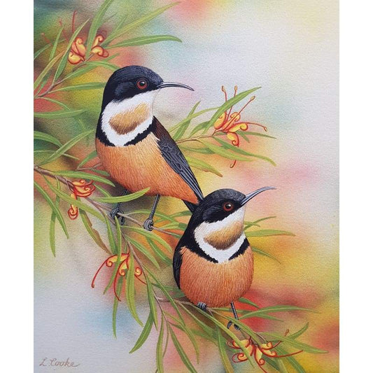 Eastern Spinebills - Full Drill Diamond Painting Kit - NEEDLEWORK KITS