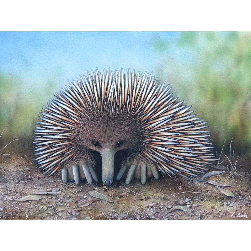 Echidna - Full Drill Diamond Painting Kit - NEEDLEWORK KITS