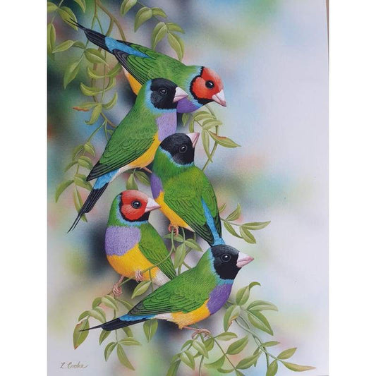 Gouldian Finches - Full Drill Diamond Painting Kit - NEEDLEWORK KITS