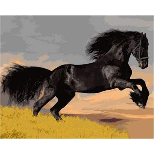 Animal Horse Diy Paint By Numbers Kits ZXB109 - NEEDLEWORK KITS