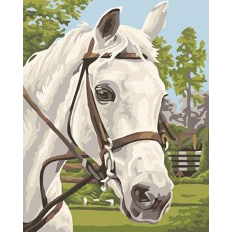 Animal Horse Diy Paint By Numbers Kits ZXB412 - NEEDLEWORK KITS