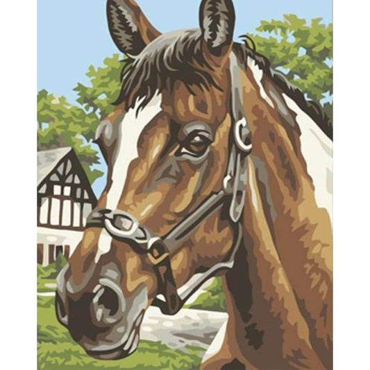 Animal Horse Diy Paint By Numbers Kits ZXB413 - NEEDLEWORK KITS