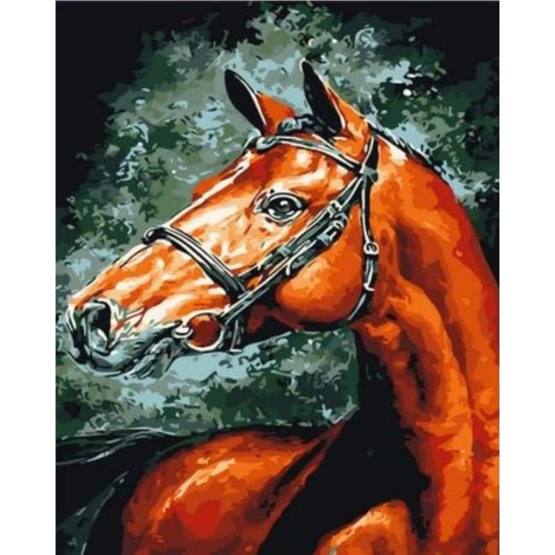 Animal Horse Diy Paint By Numbers Kits ZXQ1605 - NEEDLEWORK KITS