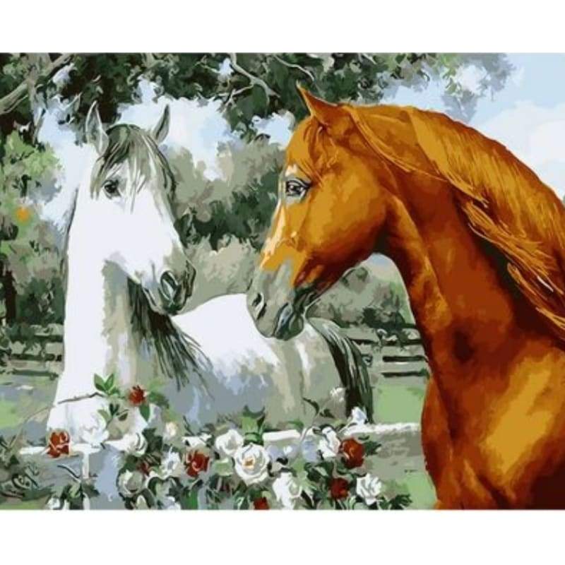 Animal Horse Diy Paint By Numbers Kits ZXQ1888 - NEEDLEWORK KITS