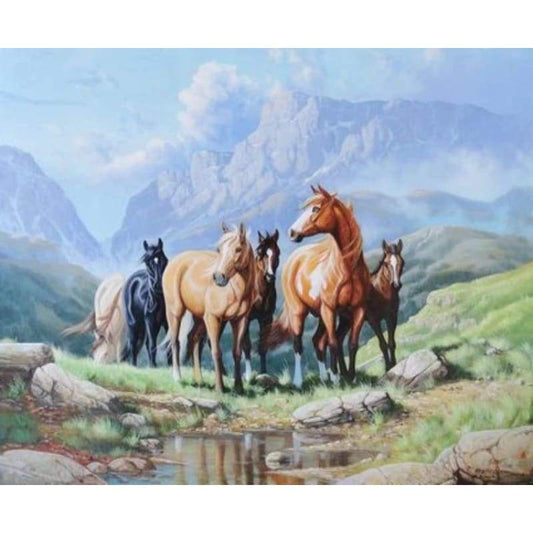 Animal Horse Diy Paint By Numbers Kits ZXQ3345 - NEEDLEWORK KITS