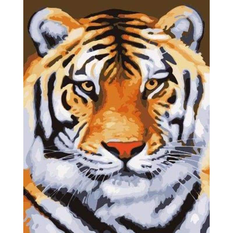 Animal Tiger Diy Paint By Numbers Kits ZXB648 - NEEDLEWORK KITS