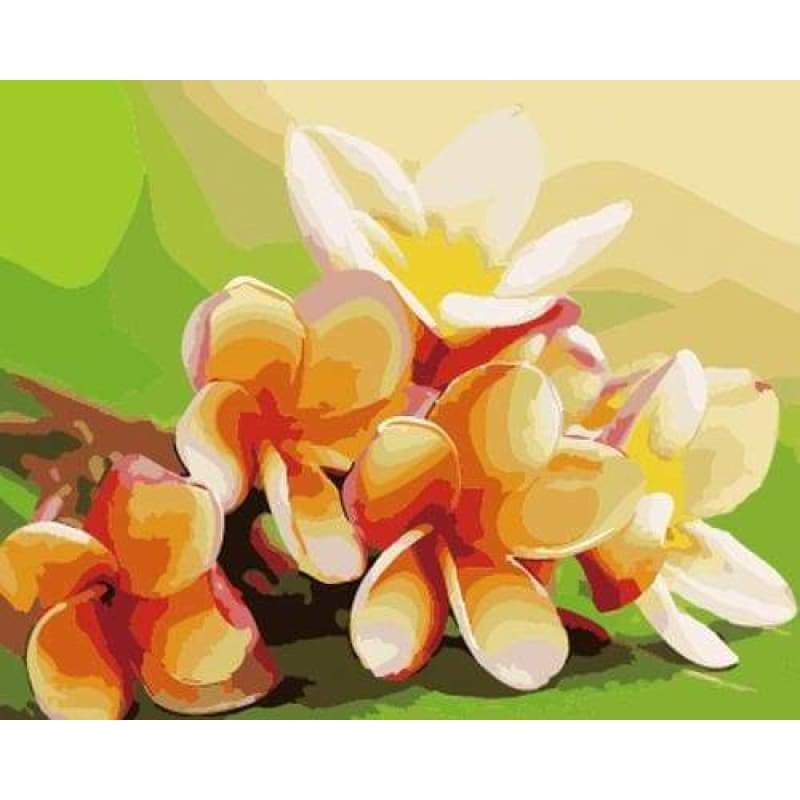 Flower Diy Paint By Numbers Kits ZXB629 - NEEDLEWORK KITS