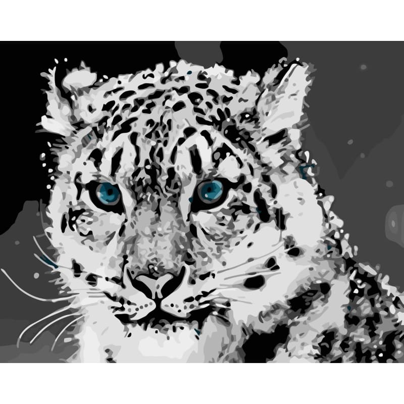 Leopard Diy Paint By Numbers Kits WM-222 - NEEDLEWORK KITS