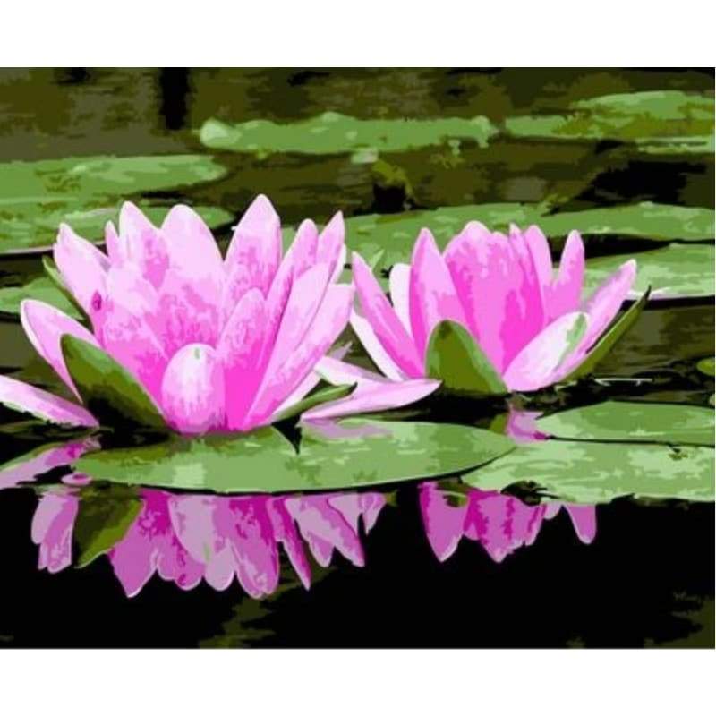 Lotus Diy Paint By Numbers Kits ZXAN1430 - NEEDLEWORK KITS