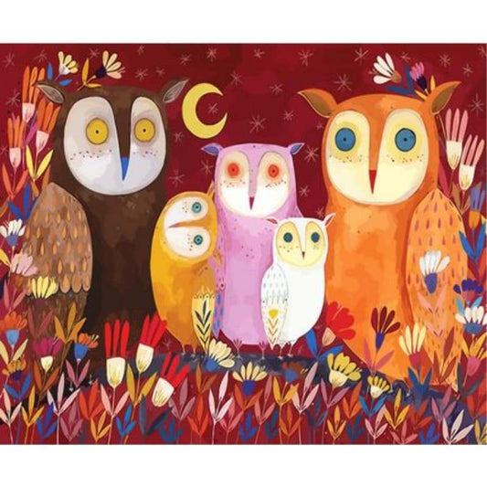 Colorful Owl - Paint by Numbers Kit Impressionism for Adults DIY