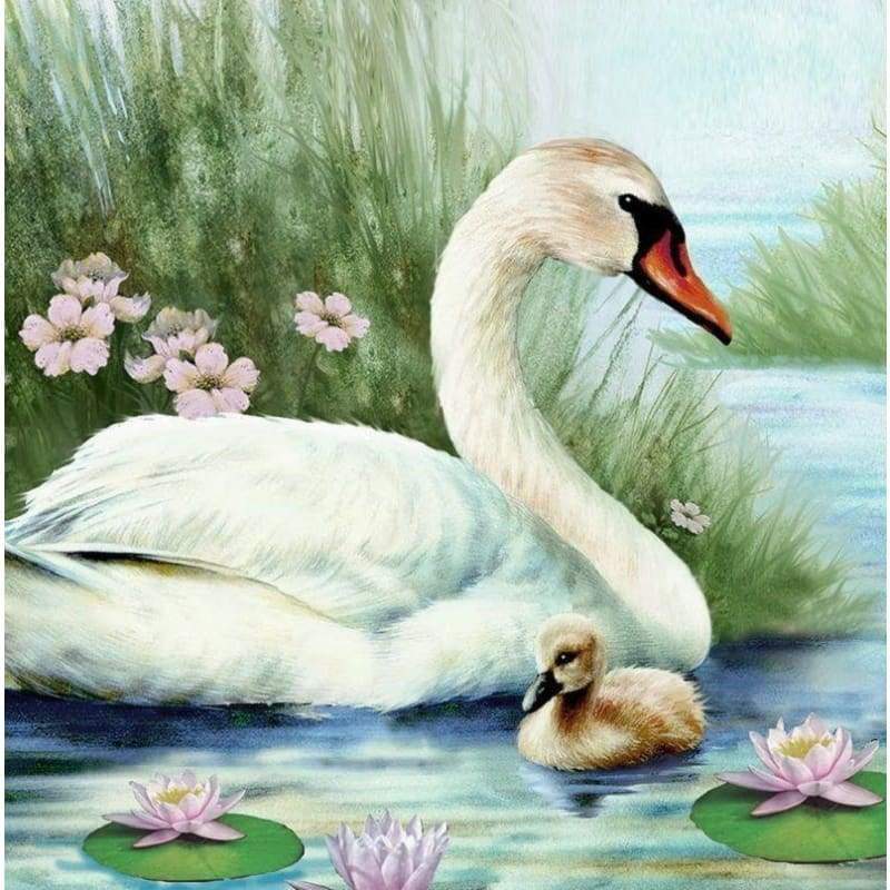 Swan Paint By Numbers Kits PBN90678 - NEEDLEWORK KITS