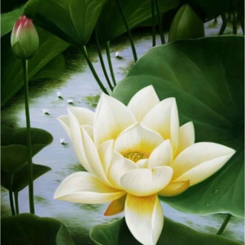 Water Lily - NEEDLEWORK KITS